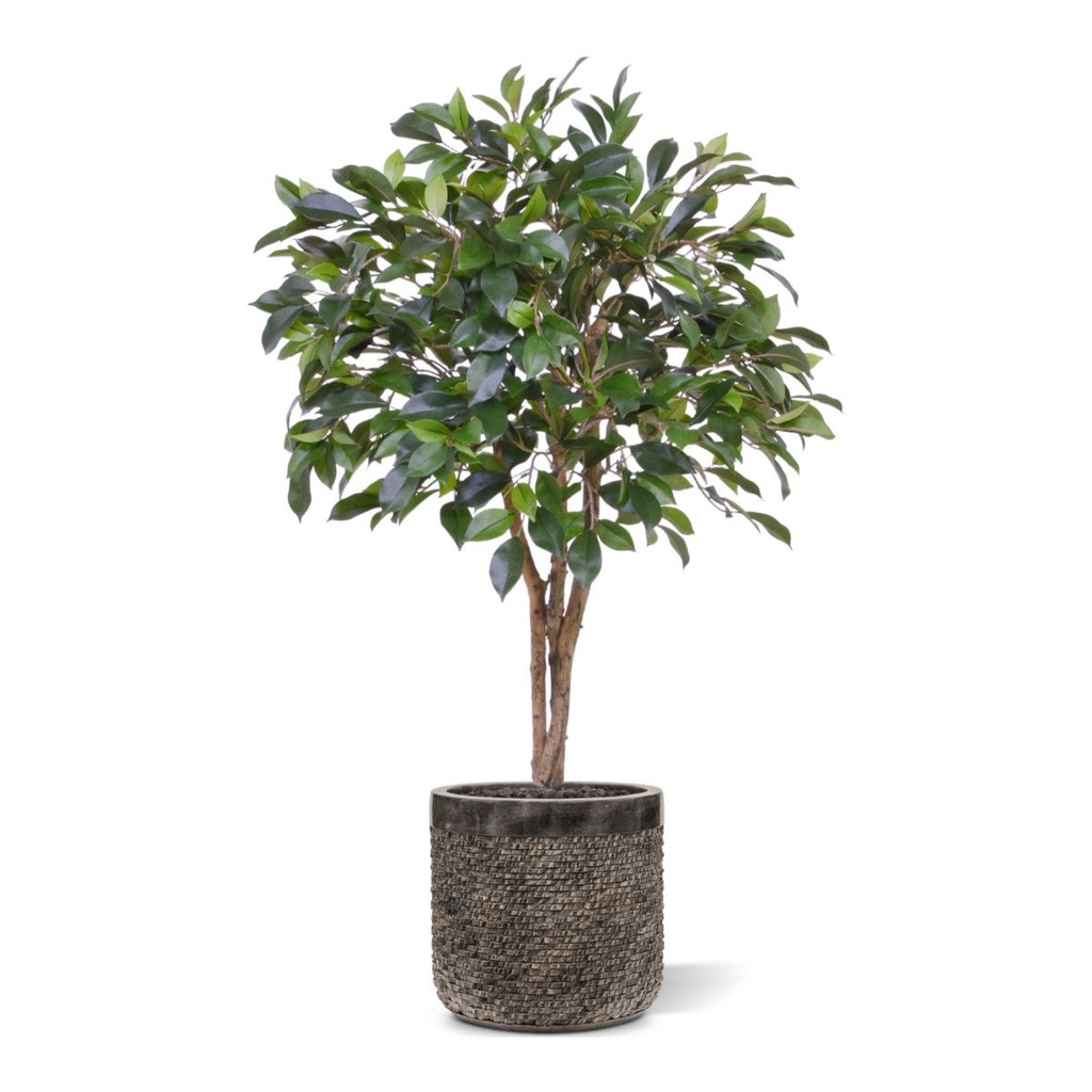 Ficus Folia kunstplant op stam 75cm