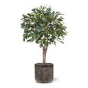 Ficus Folia kunstplant op stam 75cm