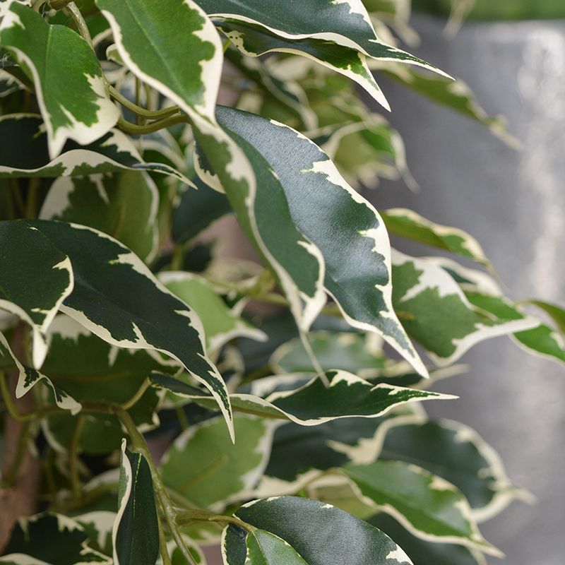 Ficus Exotica deluxe kunstplant 125cm - bont