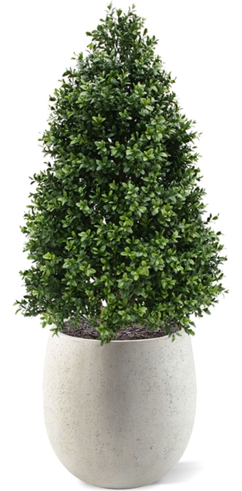 Kunst Buxus Tower plant 110cm - UV bestendig