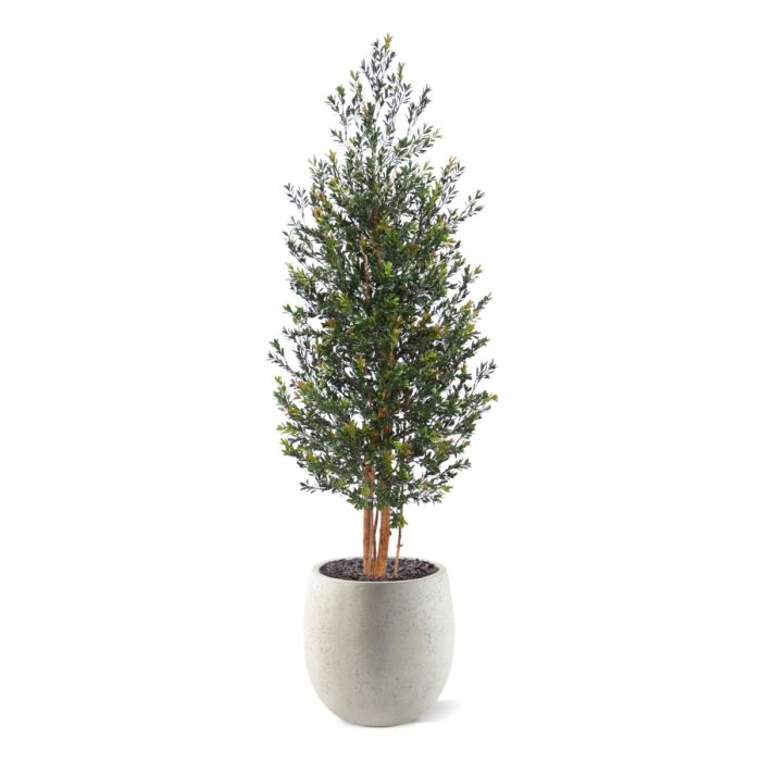 Kunst Buxus Haagplant 165cm Groen/rood