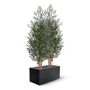 Kunst Buxus Haagplant 165cm Groen/rood