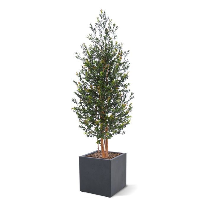 Kunst Buxus Haagplant 165cm Groen/rood