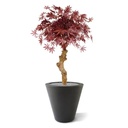 Acer Bonsai kunstboom op stam 85cm - burgundy