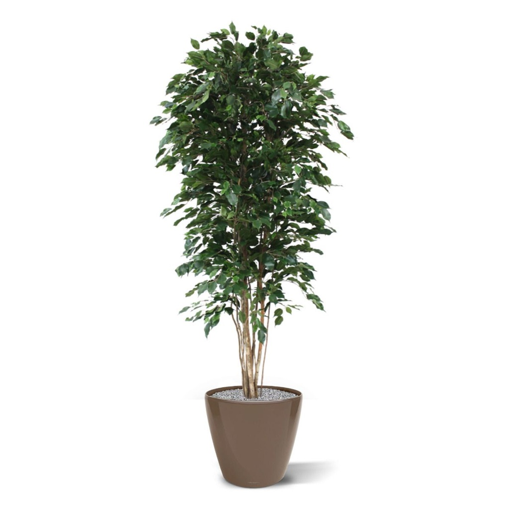 Ficus Exotica deluxe kunstboom 210cm - groen