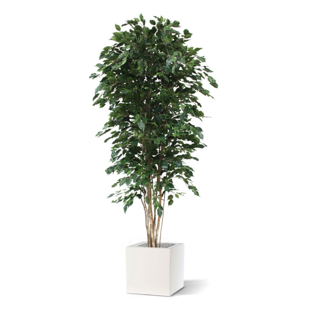 Ficus Exotica deluxe kunstboom 210cm - groen