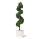 Buxus deluxe spiraal kunstplant 170cm - UV bestendig