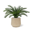 Cycas deluxe kunstpalm 60cm - UV bestendig