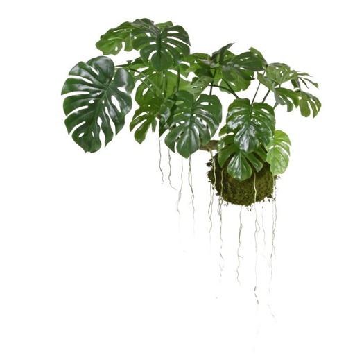 Monstera kunst hanger op Mosbol