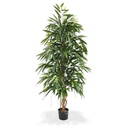 Longifolia Royal kunstboom 175cm