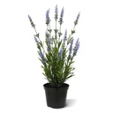 Lavendel kunstplant 50cm - blauw - UV bestendig (in binnenpot)