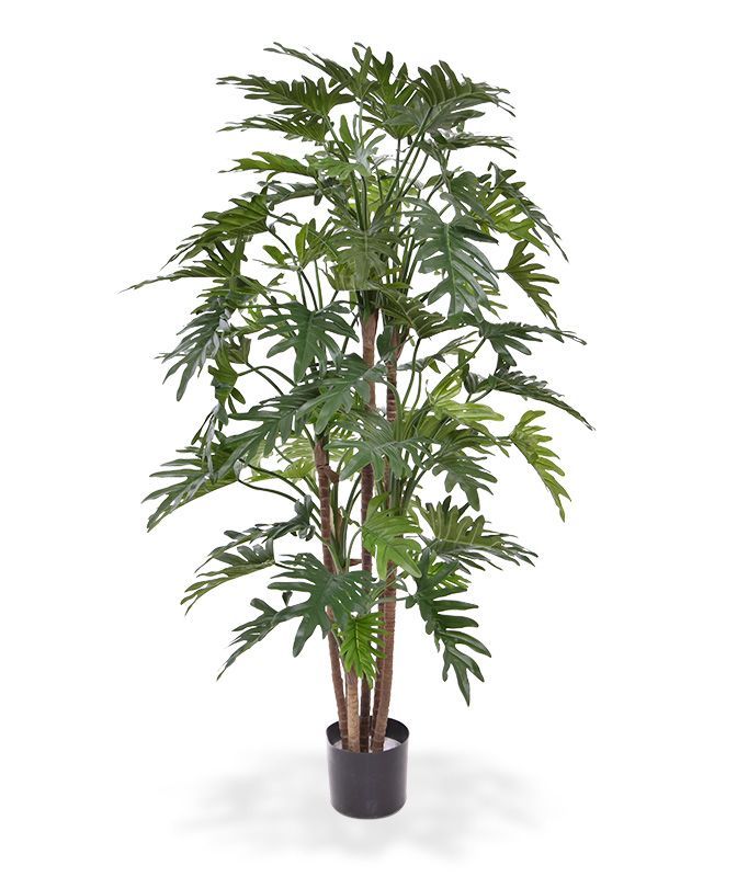 Philodendron Xanadu deluxe kunstboom 140cm