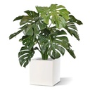 Monstera deluxe kunstplant - 75cm