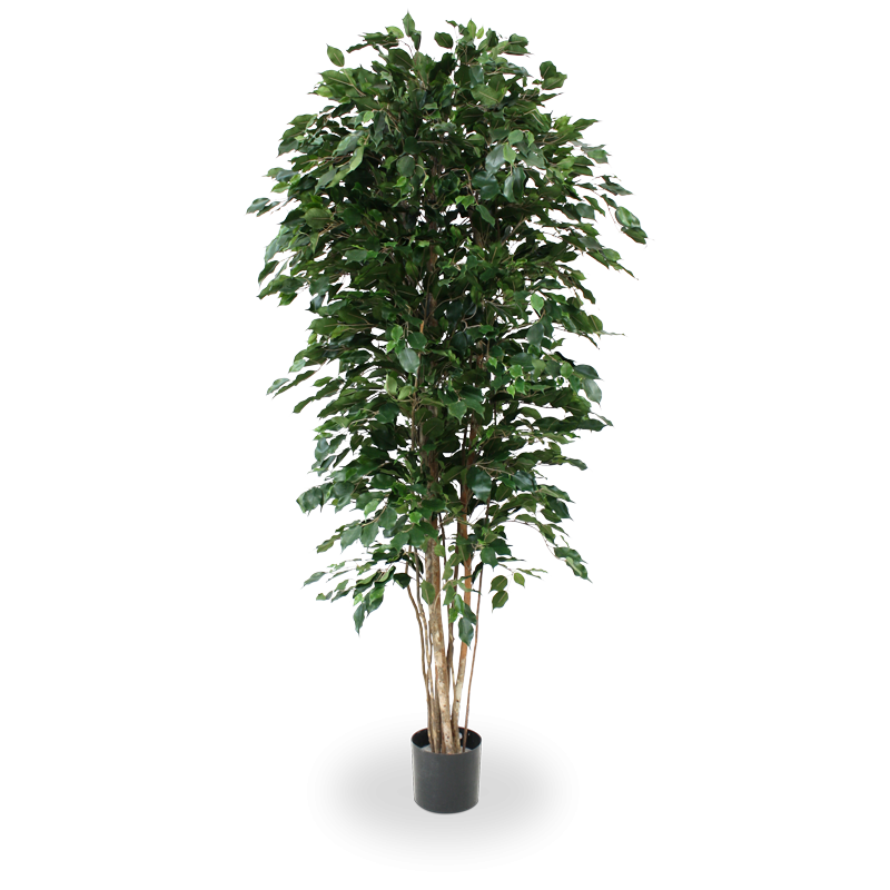 Ficus Exotica deluxe kunstboom 210cm - groen