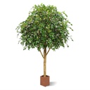 Ficus Exotica Giant kunstboom 290cm - FR - brandvertragend