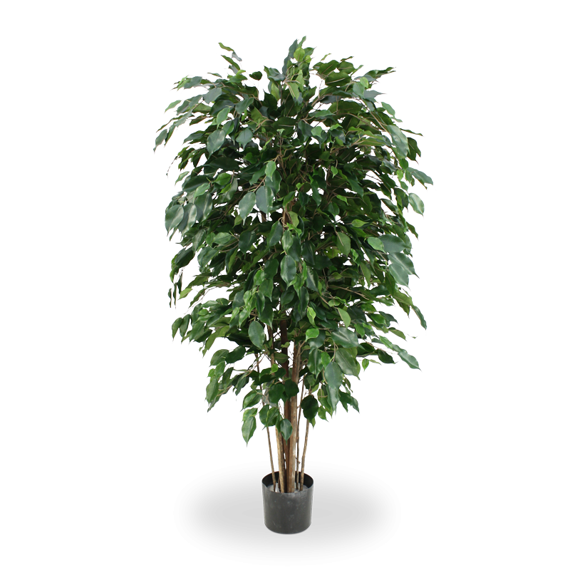 Ficus Exotica deluxe kunstplant 150cm - groen - FR - brandvertragend