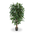 Ficus Exotica deluxe kunstplant 150cm - groen - FR - brandvertragend