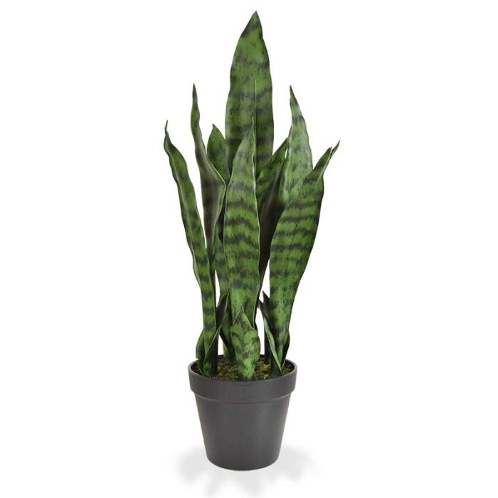 Sanseveria kunstplant N 50cm - groen