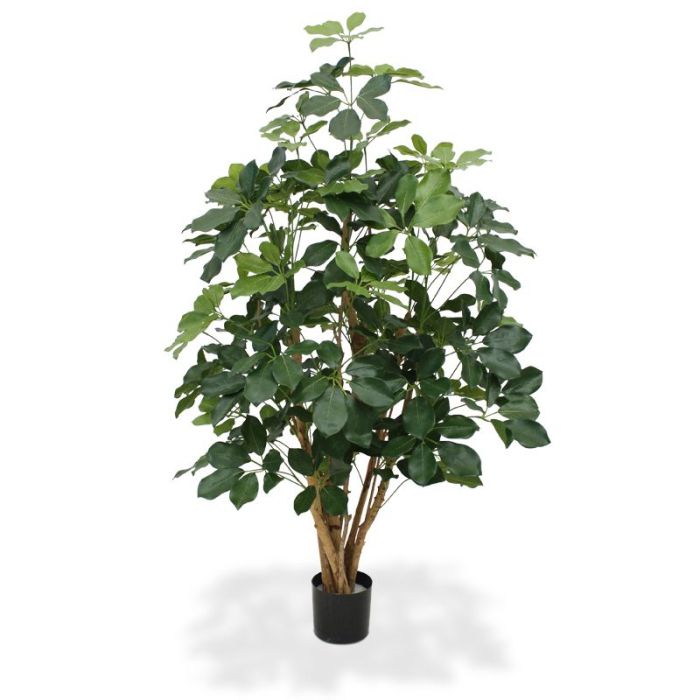 Schefflera Exotica kunstplant 120 cm