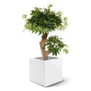 Acer Bonsai kunstboom 60cm - groen