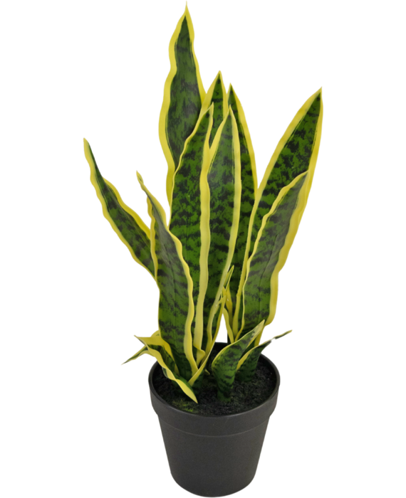 Kunstplant Sansevieria Laurentii 44 cm