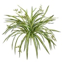 Chlorophytum RT kunst hangplant 45cm