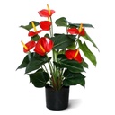 Anthurium deluxe kunstplant 50cm - rood