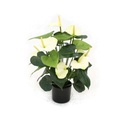 Anthurium deluxe kunstplant 50cm - creme