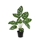 Monstera Adonsonii kunstplant 40cm