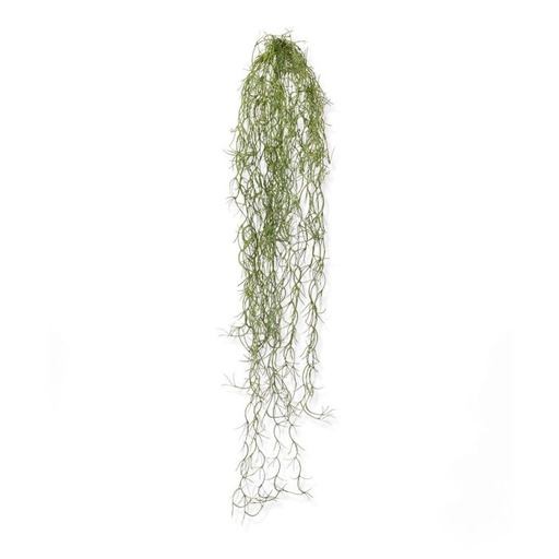 [1-203307] Tillandsia kunsthanger 75cm