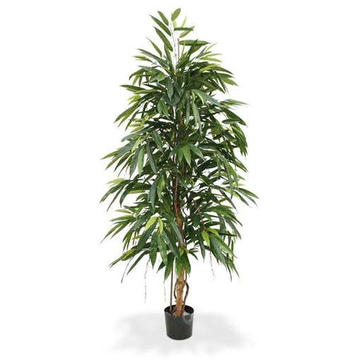 [1-109518] Longifolia Royal kunstboom 175cm