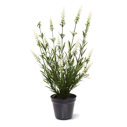 [1-407805UVWIPP12] Lavendel kunstplant 50cm - wit - UV bestendig (in binnenpot)