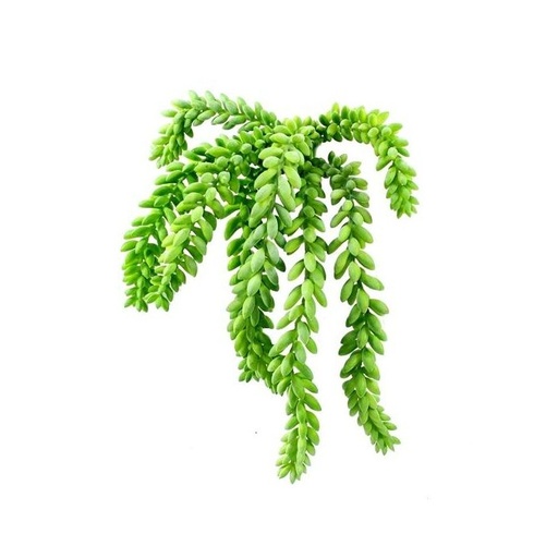 [1-401803] Sedum Donkey tail kunstplant 25cm