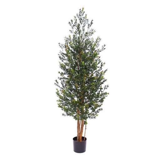 [1-129016UV] Kunst Buxus Haagplant 165cm Groen/rood