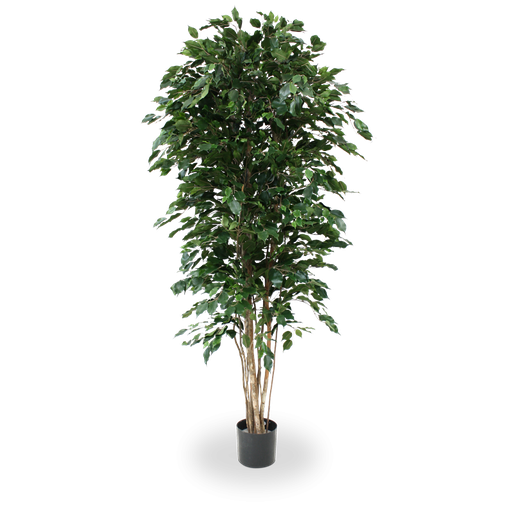 [1-112321] Ficus Exotica deluxe kunstboom 210cm - groen