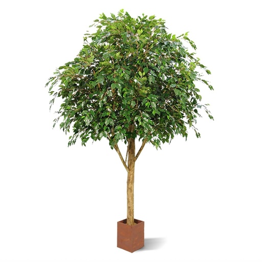 [1-112329FR] Ficus Exotica Giant kunstboom 290cm - FR - brandvertragend