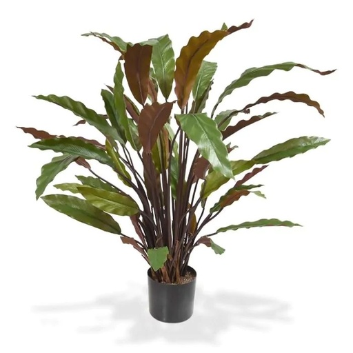 [1-152106] Calathea Red kunstplant 60cm