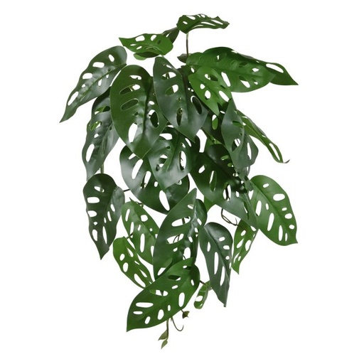 [1-207003] Monstera Adansonii Kunsthangplant 35cm