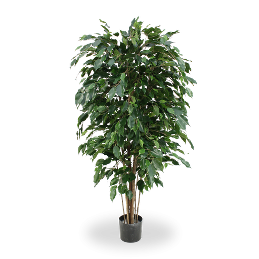 [1-112315FR] Ficus Exotica deluxe kunstplant 150cm - groen - FR - brandvertragend