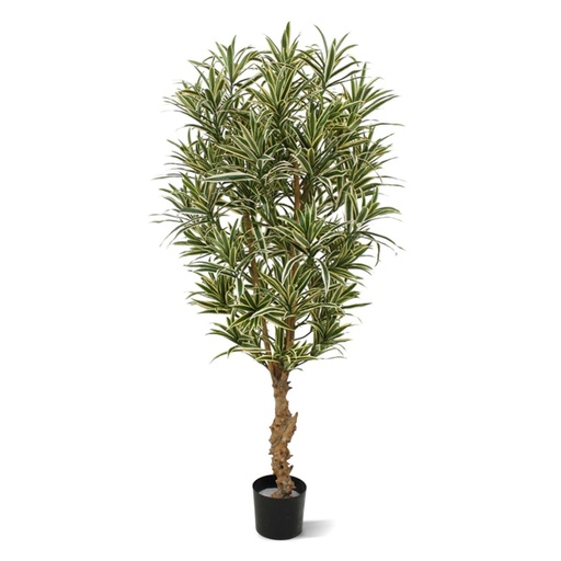 [1-152715] Draceana Reflexa kunstplant 150 cm - bont