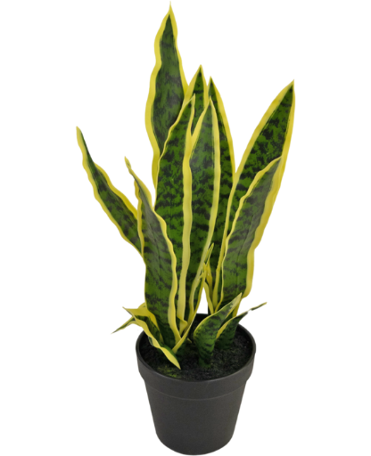 [2-321177] Kunstplant Sansevieria Laurentii 44 cm